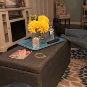 Meet your Posher, Dianne